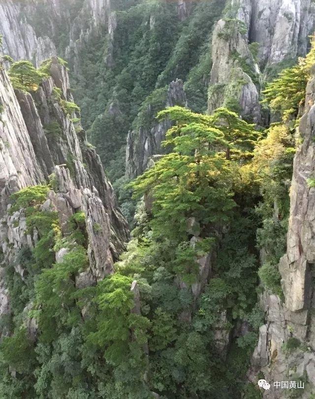 土鸡蛋和普通鸡蛋,哪个更好吃呀?-权威问答解答平台